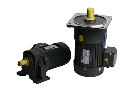 Small reduction motor